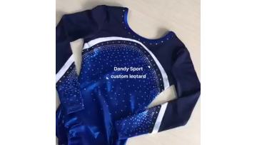 comp long sleeve leotard