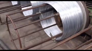 Galvanized Iron Wire
