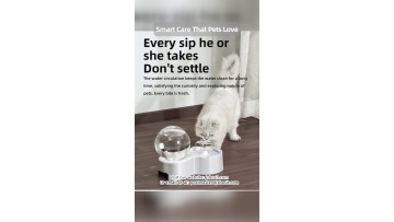 Durable pet leash options for safe and pleasant outdoor pet walking activities