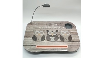 Built-in Cup Holder and Pen Holder Laptop table With Led Light1