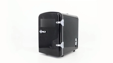12V 110V-220V Mini car fridge Thermoelectric cooler and warmer fridge 4L fridge coolers1