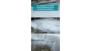 Video 17