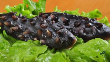 Sea cucumber powder
