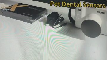 dental X ray