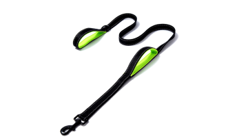 dog leash double handle