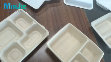 Molded fiber lunch box