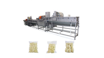 Vegetable washing machine