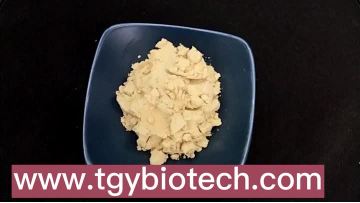 Radix Notoginseng Extract