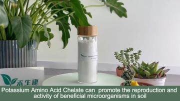 Potassium amino acid chelate