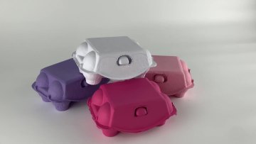 International Standard Egg Carton Price Wholesale In Turkey With High Quality1
