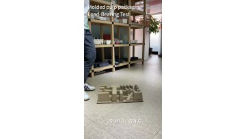 H163-Disposable Recycled Cardboard Molded Custom Box Tray1