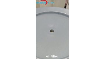 Donaldson Air Filter