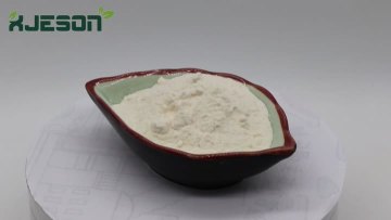 Yacon Powder 