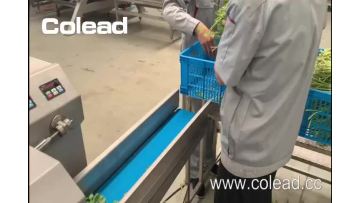 Flat belt cutter