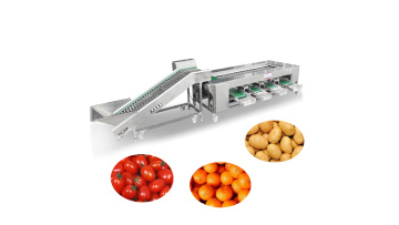 ST-FS2 Tomato Sorting Machine