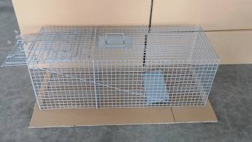 New Arrival Hot Sale Whole Set of Animal Trap Cage For Catching Rats,Muskrats,Feral Cats,Squirrels,Raccoons,Foxes,Coyote1