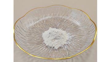 Panax Notoginseng Extract