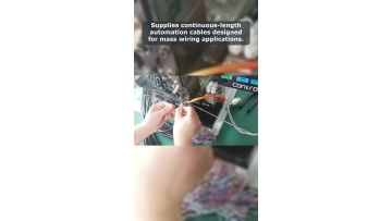 Video 16