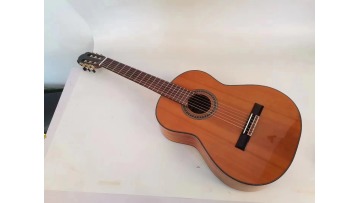 CG830SS classical guitar
