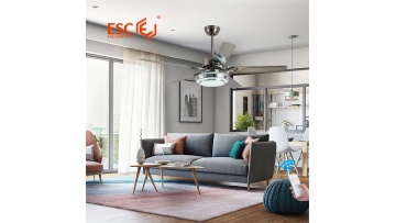 Iron ceiling fan with light