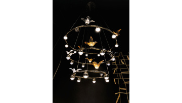 Bird cage design