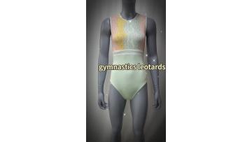 sleeveless gymnastic leotards