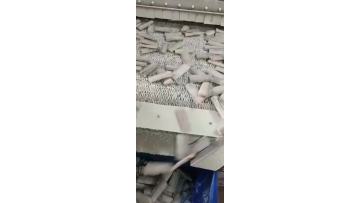 Ribbon fish freezing output