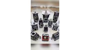 Domestic Substitutes for Denison T6 and T7 Vane Pumps