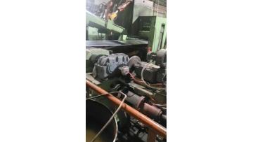 1-6-1650 Double Leveling Cut-to-Length Line