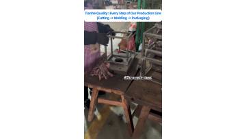 Tianhe | 20+ Years experience