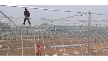 High Quality Smart Farm Tunnel Hydroponic Equipment Single-span Greenhouses For Strawberry/Flower Growing1
