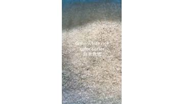 CCD color sorter