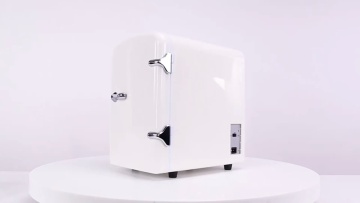 12V 110V-220V Mini car fridge Thermoelectric cooler and warmer fridge 4L fridge coolers1