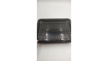 PET Tray Container