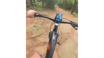 MC02 Electric Mountain Bike