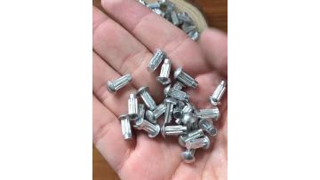 Rivets For Name Plate