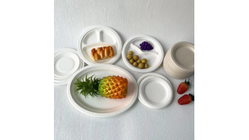 bagasse plates