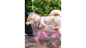 Hot Sell Anti Slip Pet Accessories Waterproof Cat Dog Shoes Silicone Comfortable Pet Rain Boots - Buy Pet Rain Boots,Dog Shoes,Pet Accessories Product on Alibaba.com