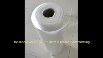  white rigid PP sheet in roll for thermoforming