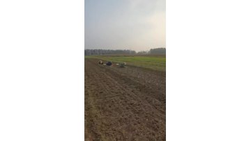 Best Quality New Garlic Planting