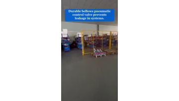 Video 51