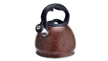 Stainless Steel whistling tea kettle FH-362