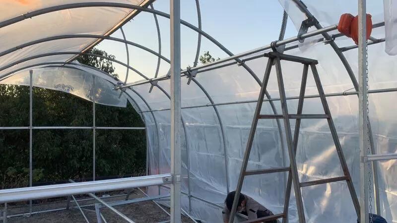 greenhouse