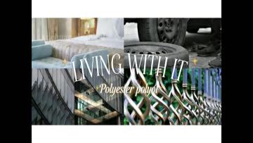 Polyester polyol materials