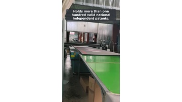 Video 4