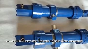 100 56-330 Metallurgical hydraulic cylinder