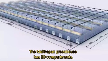 Commercial polytunnel greenhouse for tomato low cost plastic film  greenhouse china1