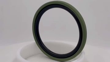 Piston Seals PG