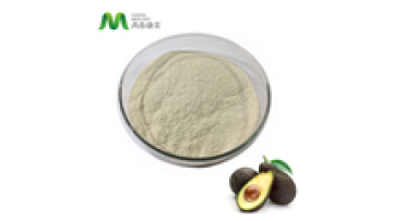 Factory Supply High Quality Shea Butter EU Organic Avocado Seed Powder1