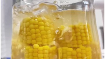 Yellow Waxy corn7